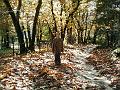 2005-11 WE Cevennes 119